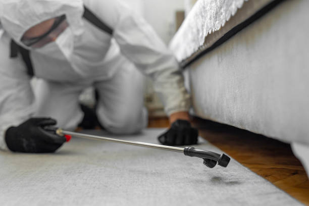 Professional Termite Control technician working in Queens, NY