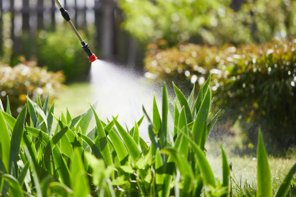 24/7 Emergency Termite Control experts in Queens, NY