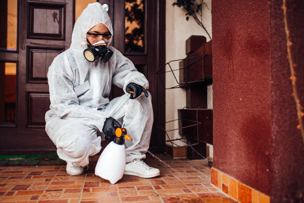 Reliable Termite Control contractor in Queens, NY by Nex Pest Control