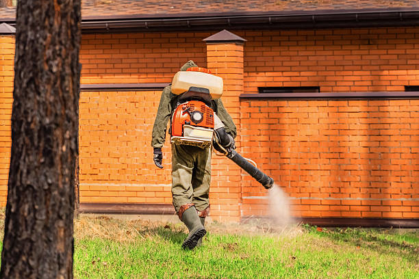 Top rated local Termite Control specialists in Queens, NY